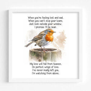 Remember Me Robin Printed Frame Design 1