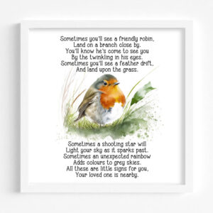 Remember Me Robin Printed Frame Design 4